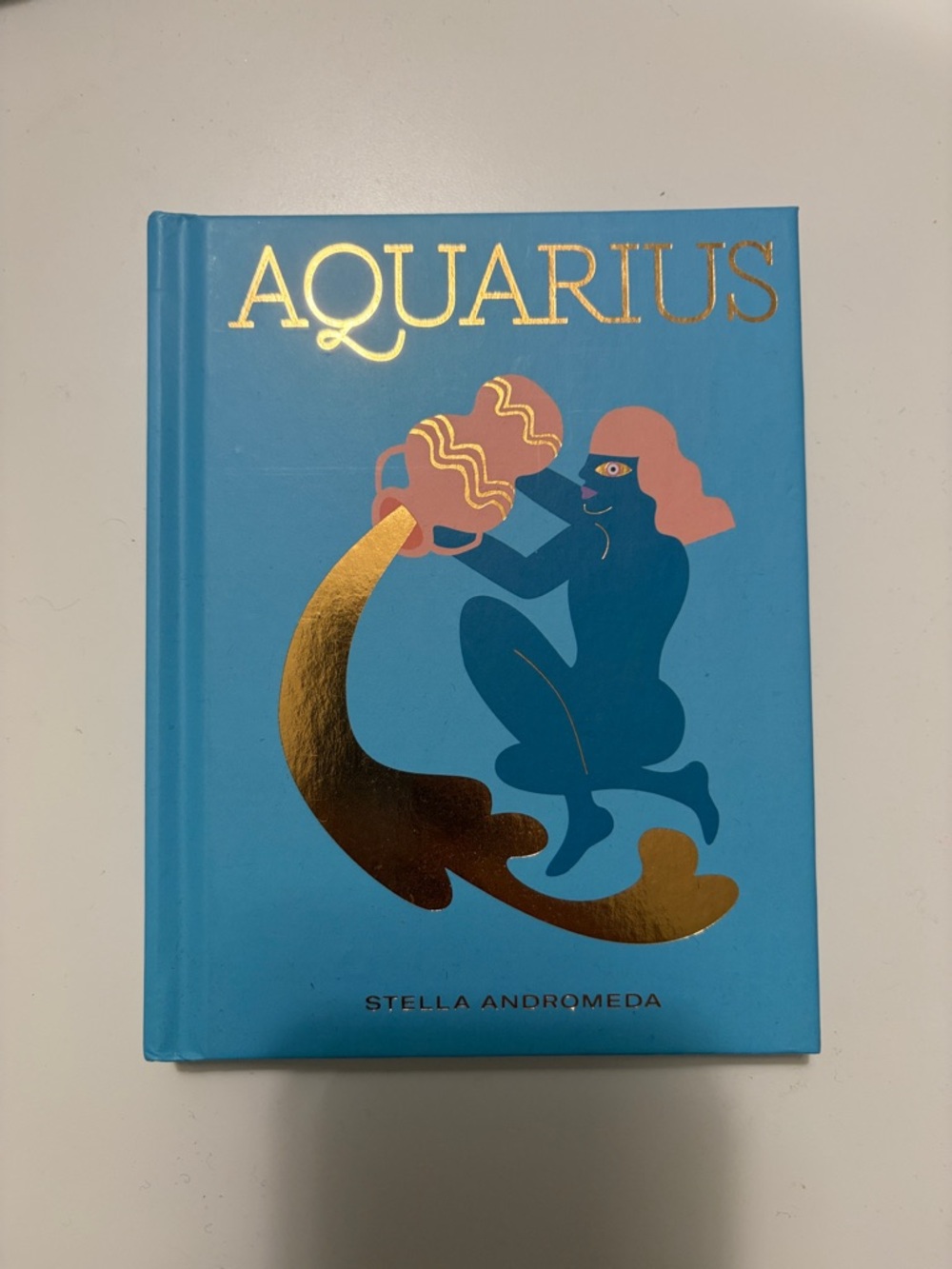 Aquarius Hardcover Decorative Book - Blue